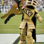 Knightro 4