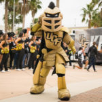 Knightro 2