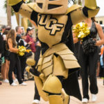 Knightro 3